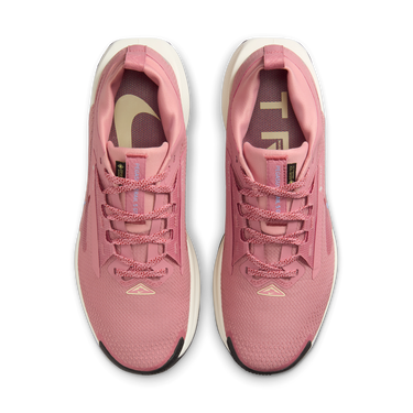 Tenisky a topánky Nike Pegasus Trail 5 GORE-TEX Ružová | FQ0912-602, 2