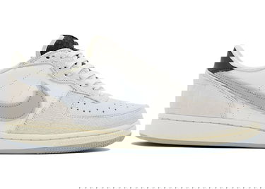 Tenisky a topánky Nike Terminator Low "Liberté" Šedá | FJ4207-001, 1