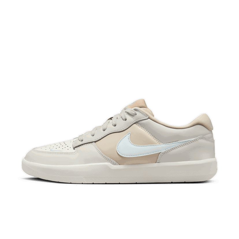 Skateboarding Nike SB Force 58 Premium Šedá | DV5476-003