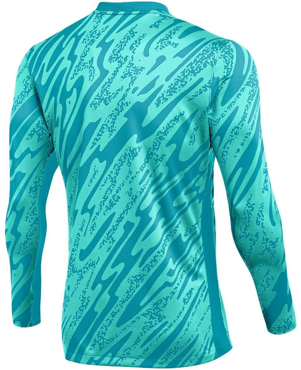 Dres Nike M NK DF GARDIEN V GK JSY LS Tyrkysová | fd7474-354, 1