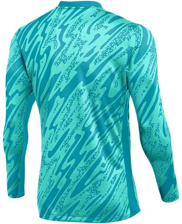 Dres Nike M NK DF GARDIEN V GK JSY LS Tyrkysová | fd7474-354, 1