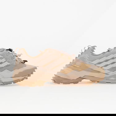 Tenisky a topánky adidas Performance Terrex Skychaser GTX Béžová | JS4611, 4