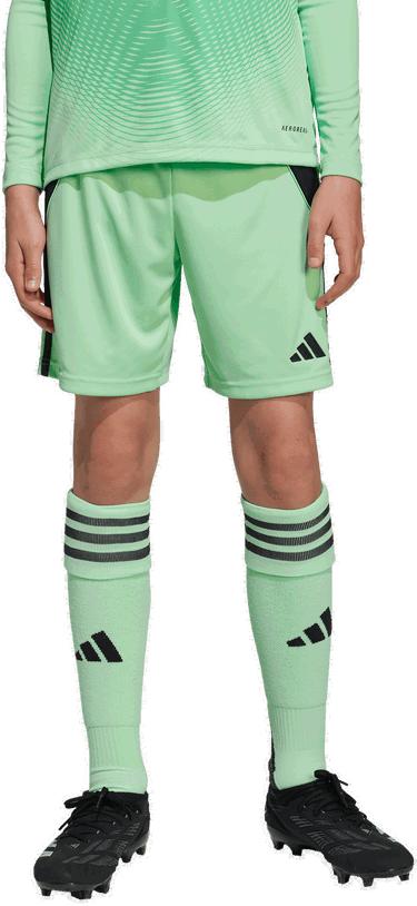 Šortky adidas Originals adidas TIRO24 Shorts Zelené | jc6204, 2