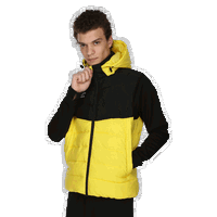 Flank Hooded Puffer Vest
