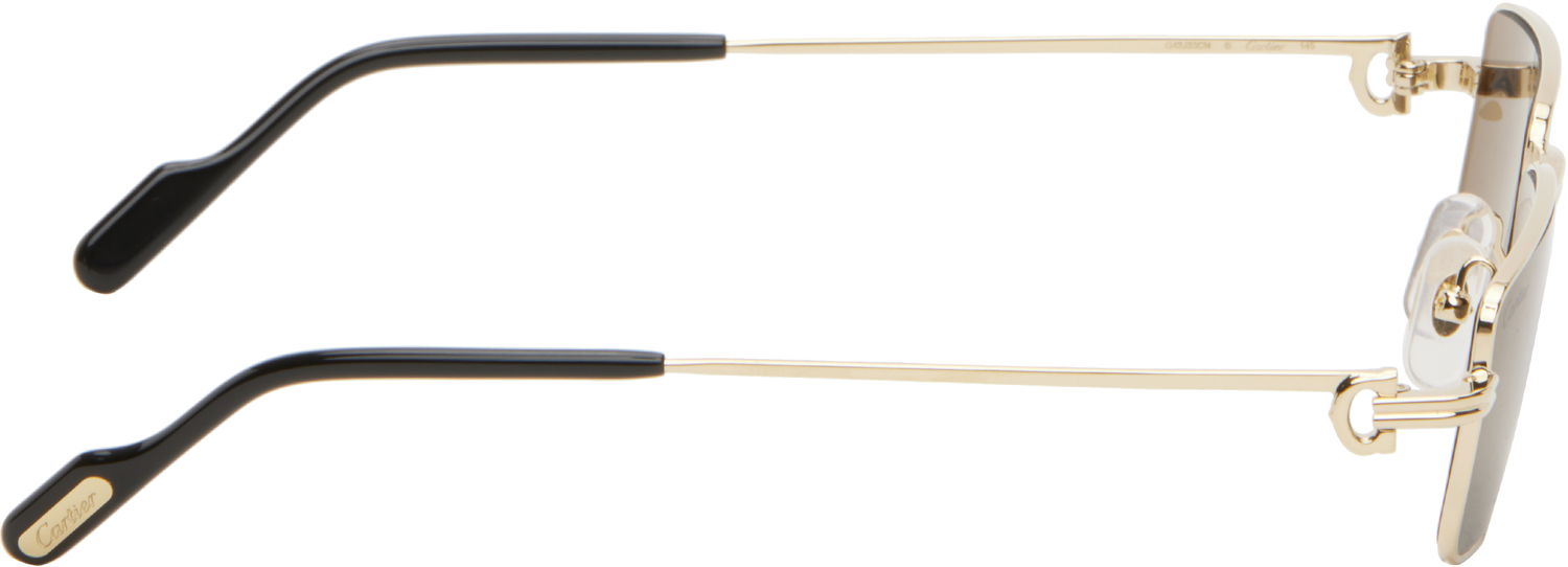 Slnečné okuliare Cartier Cartier 'Première de Cartier' Sunglasses Metalická | CT0501S-001, 1