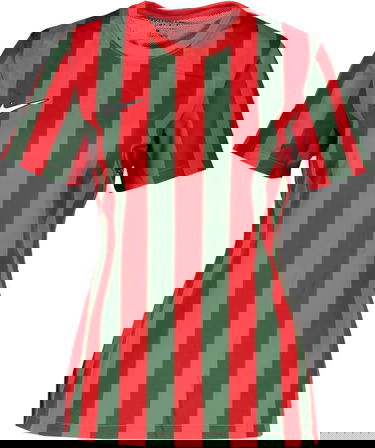 Dres Nike Division IV Jersey Rôznofarebný | cw3816-659, 0