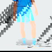 Adicolor Teamgeist Shorts