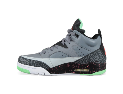 Tenisky a topánky Jordan Air Jordan Son Of Low Šedá | 580603-031