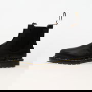 2976 Black Ambassador