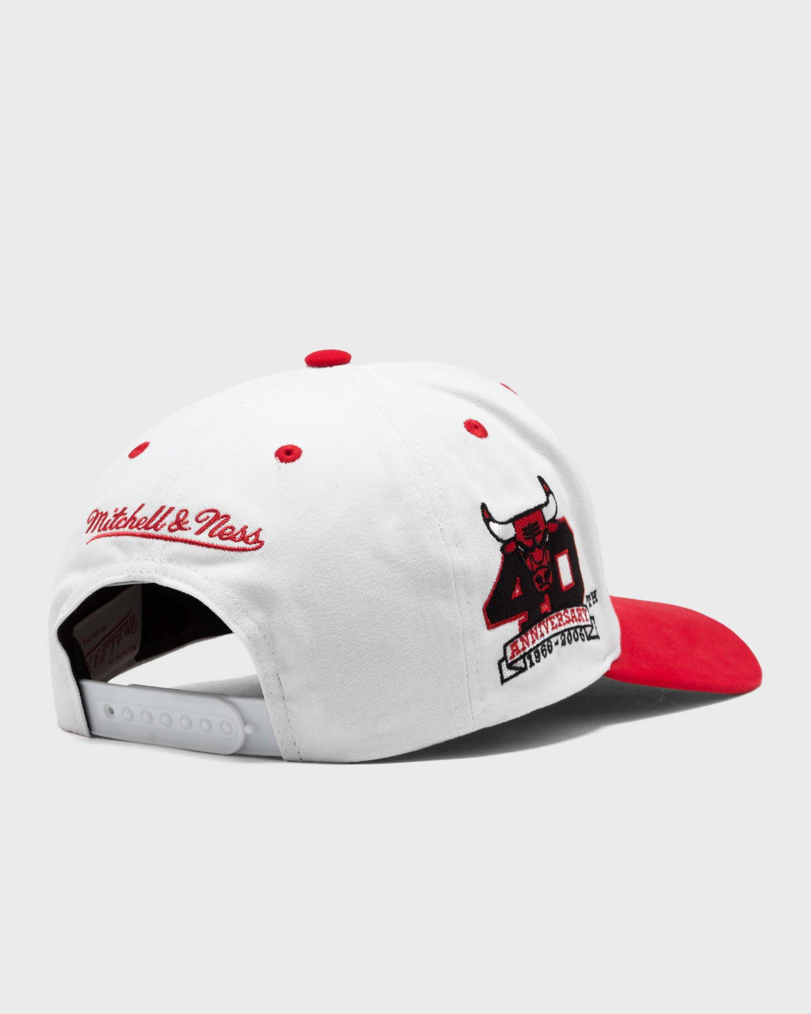 NBA TAIL SWEEP PRO SNAPBACK CHICAGO BULLS