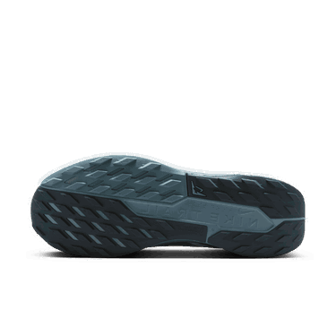 Tenisky a topánky Nike Pegasus Trail 5 GORE-TEX Modrá | FQ0908-005, 2