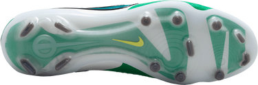 Tenisky a topánky Nike LEGEND 10 ELITE FG LV8 Zelené | hj7272-300, 2