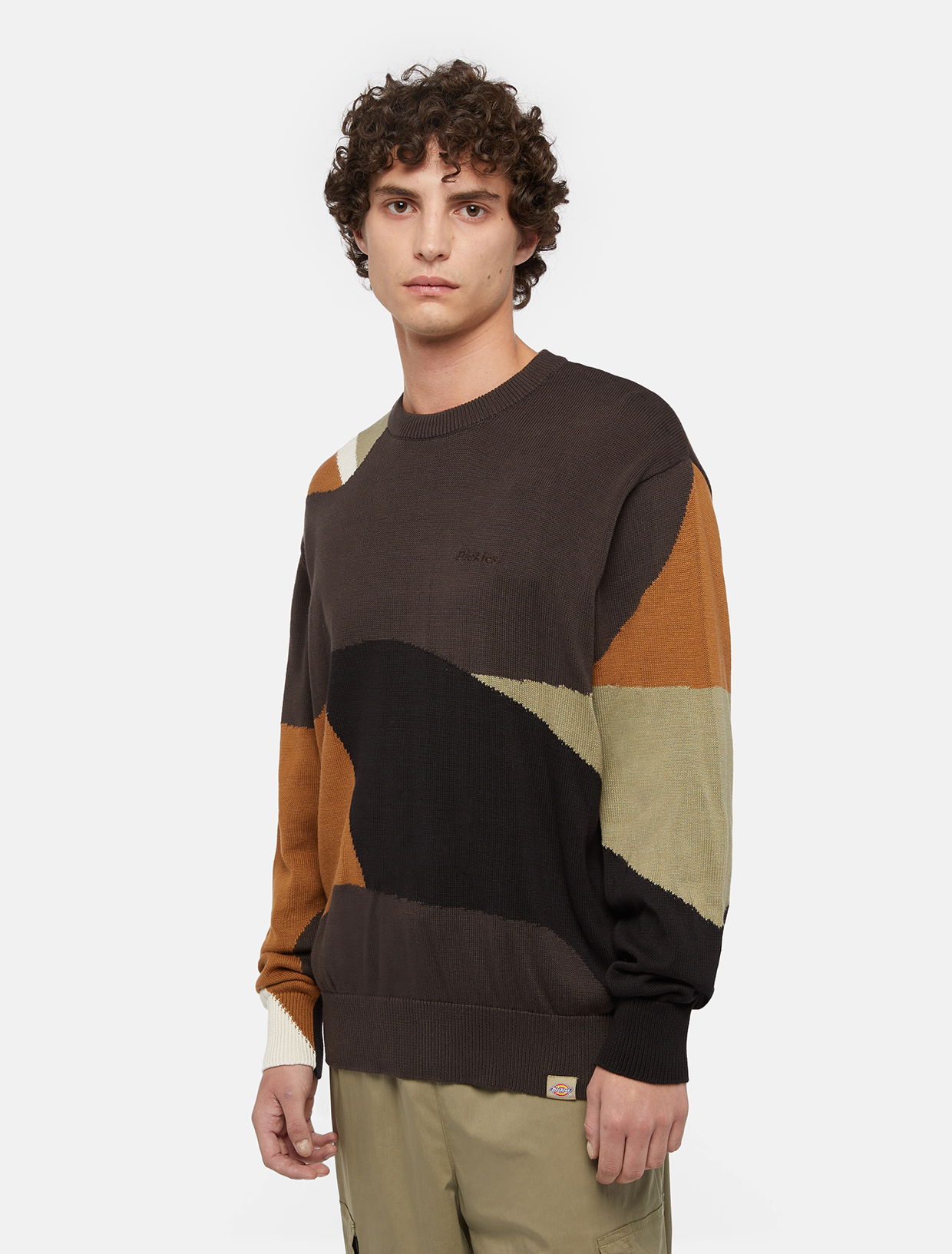 Sveter Dickies Camo Jumper Man Rôznofarebný | 0A864N, 0