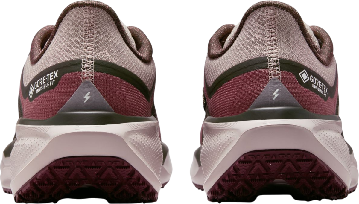 Tenisky a topánky Nike Pegasus 41 GORE-TEX Vínová | fq1357-200, 1