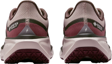 Tenisky a topánky Nike Pegasus 41 GORE-TEX Vínová | fq1357-200, 1