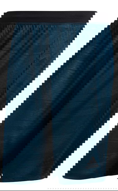 Šortky adidas Performance Shorts Winterized Navy | dz7358, 0