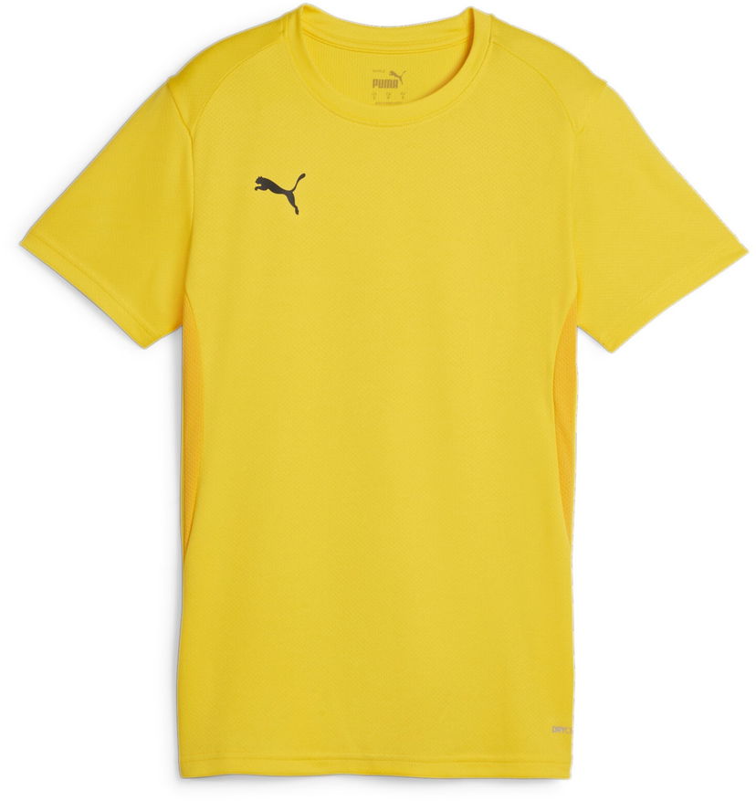 Dres Puma teamGOAL Jersey Žltá | 658638-07