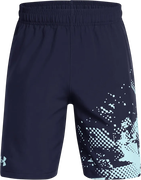 Under Armour UA Tech Woven Graphic Shorts
