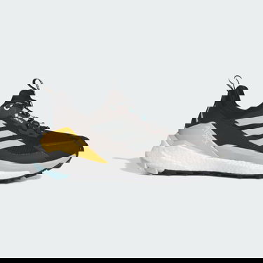 Tenisky a topánky adidas Performance Terrex Free Hiker 2.0 Low GORE-TEX Hiking Čierna | IG5460, 0