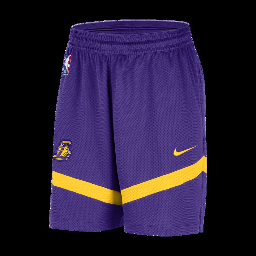 Šortky Nike Dri-FIT NBA Los Angeles Lakers Icon Fialová | DZ3722-504