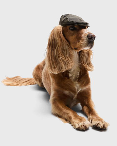 Šiltovka Barbour Dog Wax Flat Cap Zelené | DAC0116OL71, 1