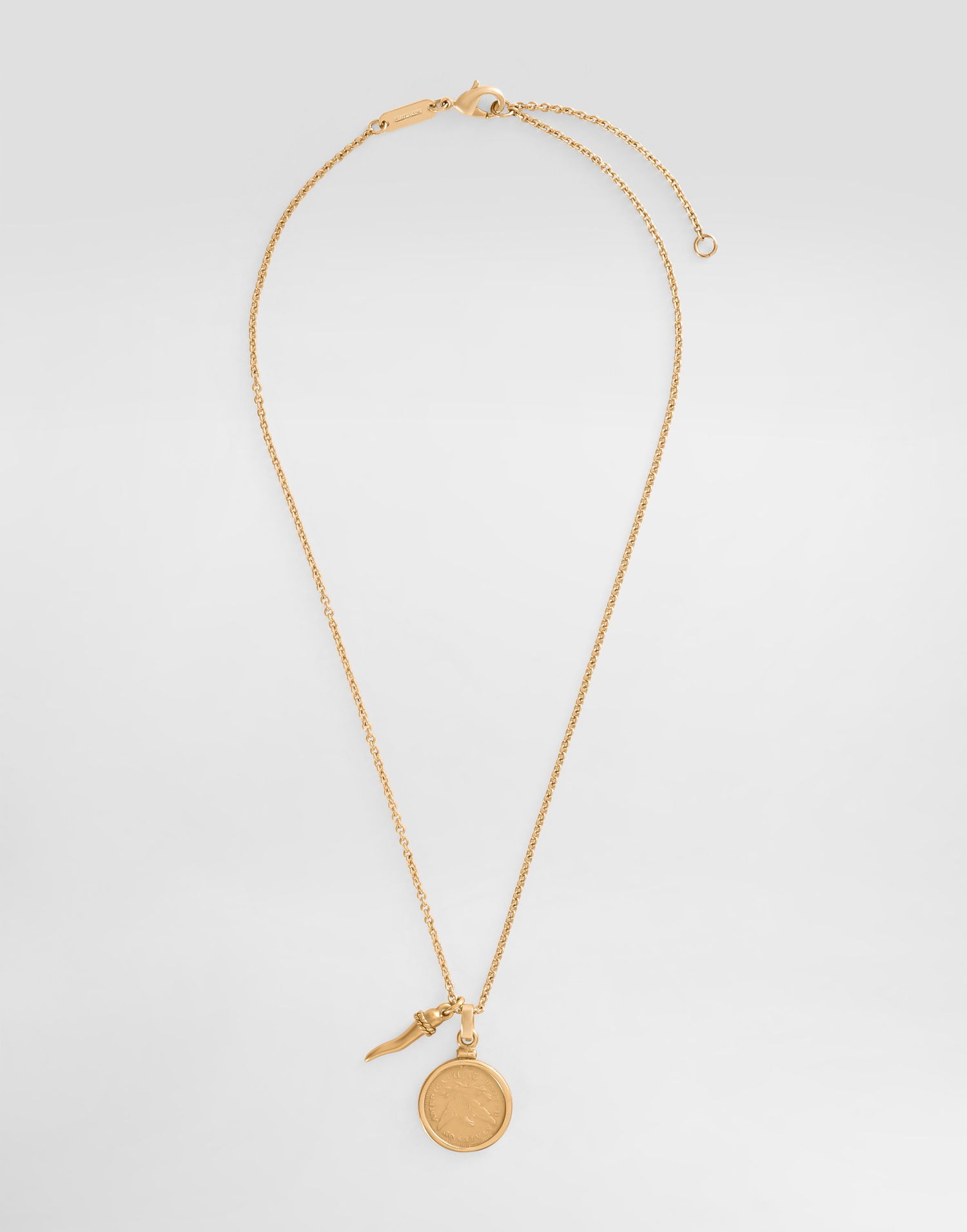 Náhrdelník Dolce & Gabbana Dolce & Gabbana Medal and Horn Pendant Necklace Metalická | WNR8S2W1111ZOO00, 0