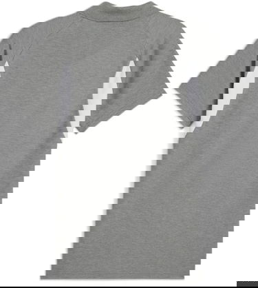 Polo tričko Puma Puma teamEVOSTRIPE Polo Shirt Šedá | 659952-33, 1