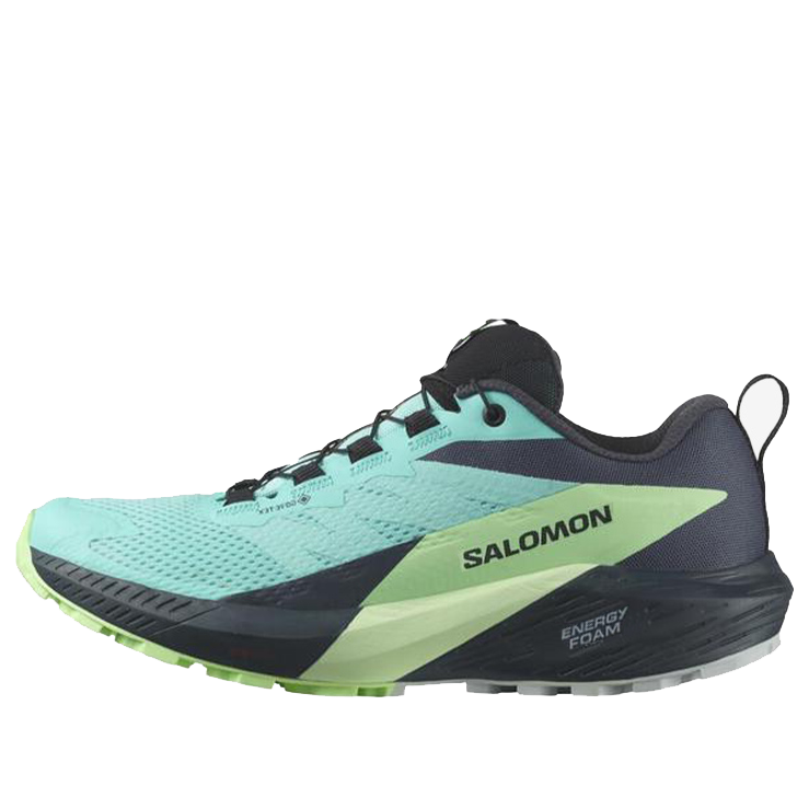 Tenisky a topánky Salomon Sense Ride 5 GTX Zelené | 472160