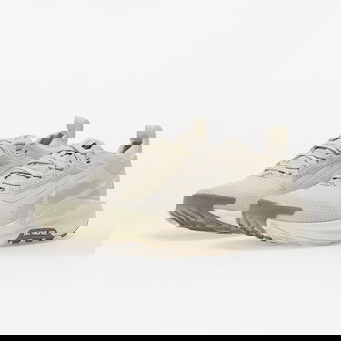 Tenisky a topánky Nike Pegasus Trail 5 Gore-Tex Béžová | FQ0912-006, 5
