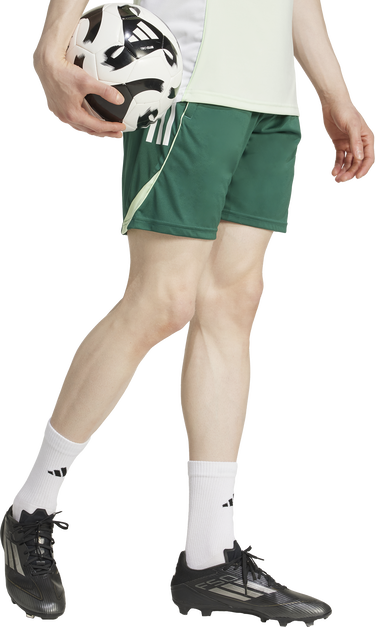Šortky adidas Originals TIRO25C TR Training Shorts Zelené | jd6553, 5