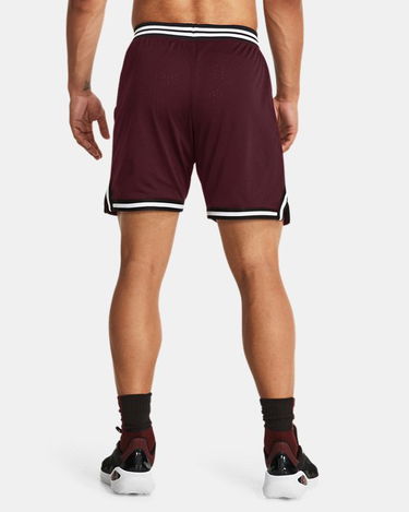 Šortky Under Armour Shorts Vínová | 1380331-600, 1