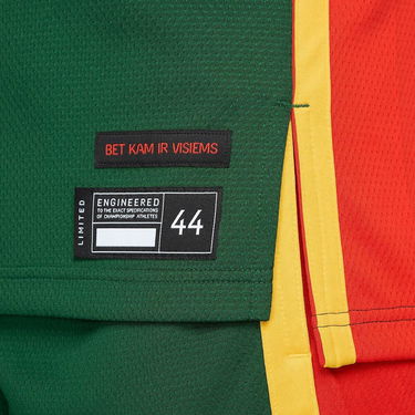 Dres Nike Lithuania LIMITED JERSEY OLYMPIA 24 Zelené | FQ0378-341, 3