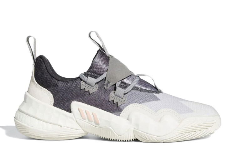 Tenisky a topánky adidas Originals Trae Young 1 White Grey Purple Biela | GY0302, 0