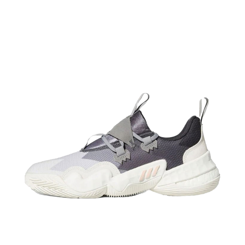 Tenisky a topánky adidas Originals Trae Young 1 White Grey Purple Biela | GY0302