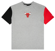 Chicago Bulls NBA Logo Raglan T-Shirt