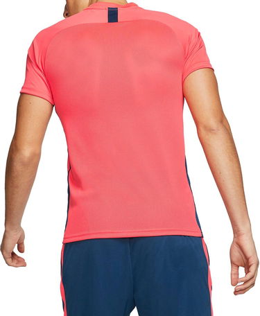 Tričko Nike Dry Academy Performance T-Shirt Short Sleeve Červená | aj9996-644, 1