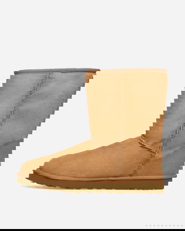 Tenisky a topánky UGG Classic Chestnut Hnedá | 5800-CHE, 3