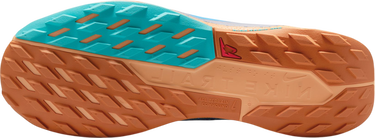 Tenisky a topánky Nike Pegasus Trail 5 GORE-TEX Modrá | fq0908-400, 3