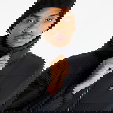 Prešívaná bunda Dickies Waldenburg Puffer Jacket Čierna | DK0A4XP2BLK1, 1