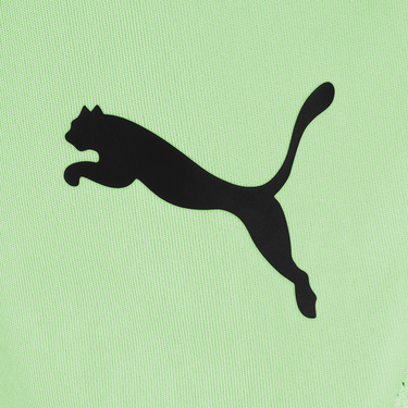 Šortky Puma Füchse Berlin Team Shorts 2024/2025 Zelené | 705752fux-60, 3