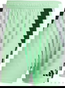 Adidas TIRO24 Training Shorts