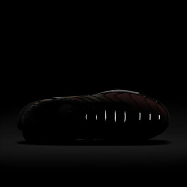 Tenisky a topánky Nike Air Max Plus Oranžová | DR8581-800, 1