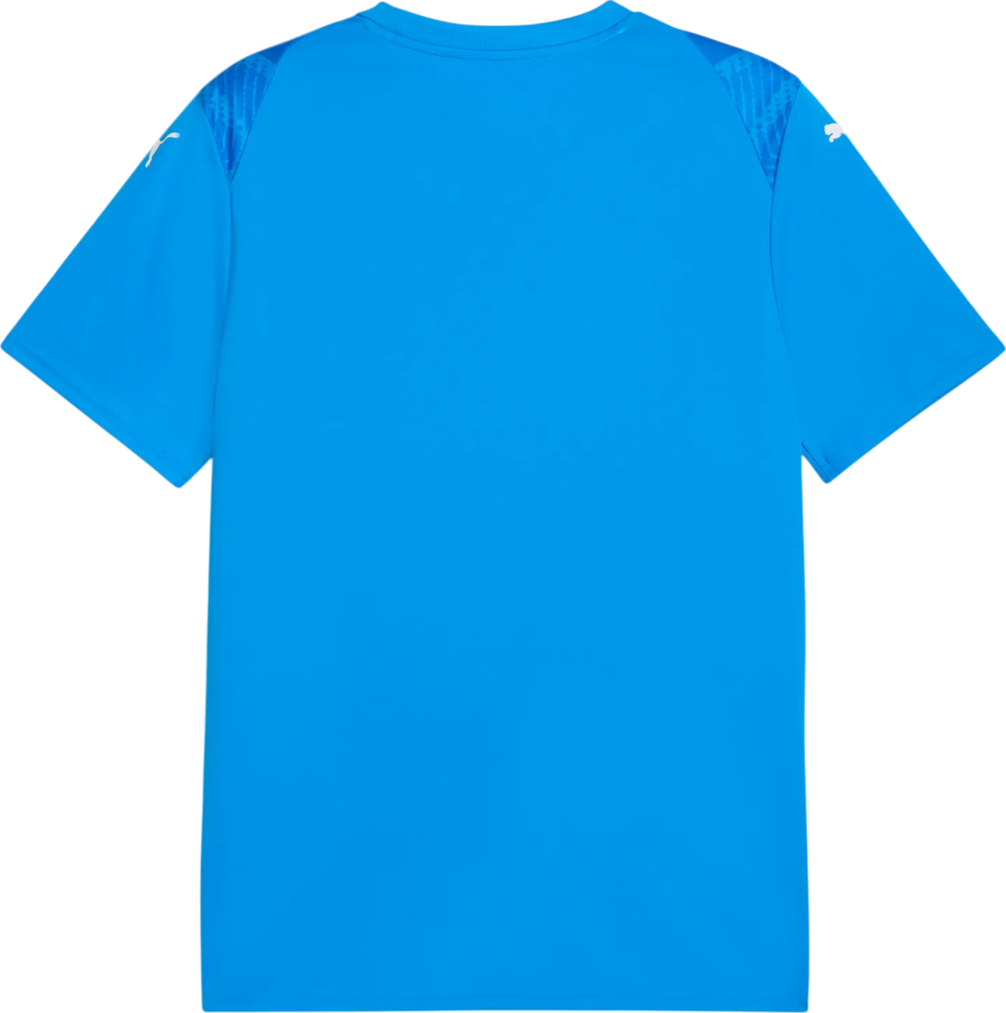 Dres Puma Puma teamULTIMATE Jersey Modrá | 706280-02, 1