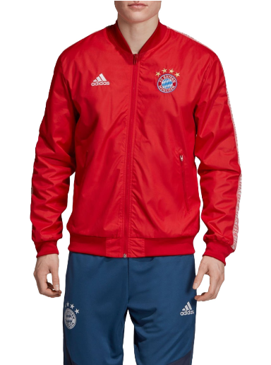 Bunda adidas Originals FC Bayern Anthem Jacket Červená | dx9218