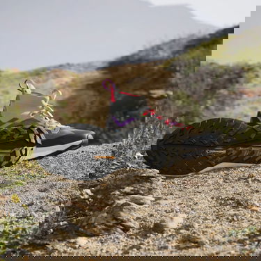 Tenisky a topánky adidas Performance Terrex Free Hiker 2.0 Hiking Šedá | ID5897, 1