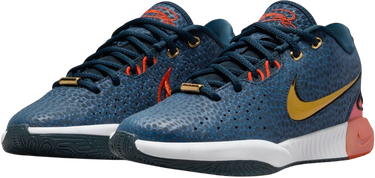 Tenisky a topánky Nike LEBRON XXI SE (GS) Modrá | fv3606-400, 2