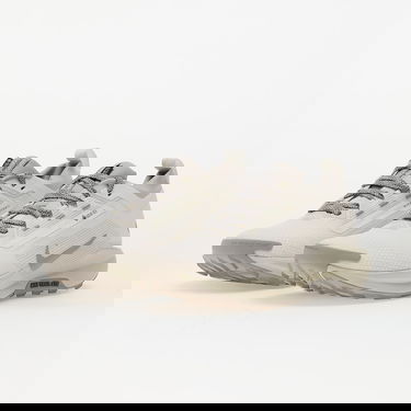 Tenisky a topánky Nike Pegasus Trail 5 Gore-Tex Béžová | HQ7494-100, 5