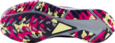 Tenisky a topánky Nike Trailové boty Pegasus Trail 4 GORE-TEX Ružová | dj7929-600, 1