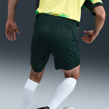 Dres Nike Australia Stadium 2025 Dri-FIT Replica Men's Soccer Shorts Zelené | FQ8852-397, 2