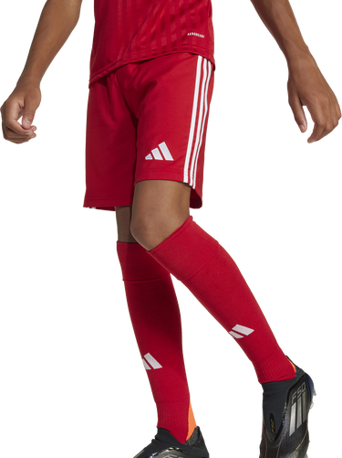 Šortky adidas Originals adidas TASTIGO25 Shorts Červená | jn7172, 5